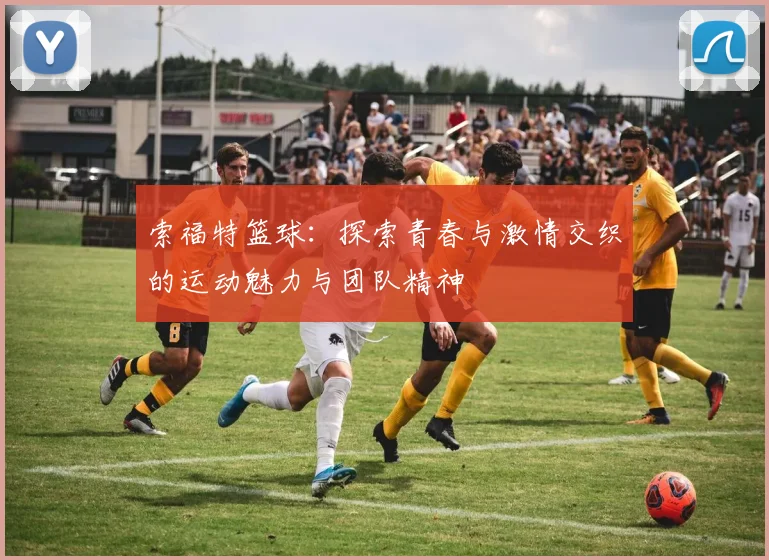 索福特篮球:探索青春与激情交织的运动魅力与团队精神