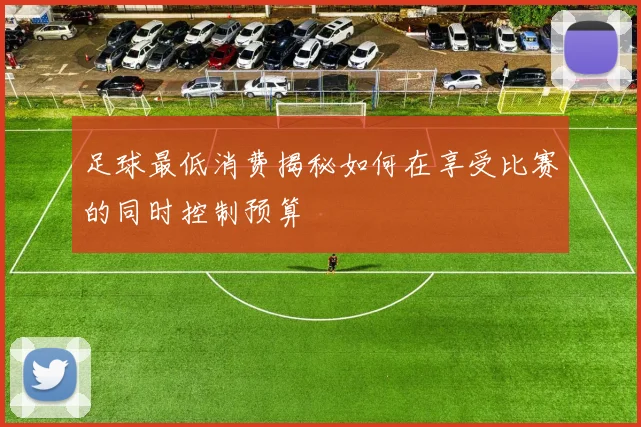 足球最低消费揭秘如何在享受比赛的同时控制预算