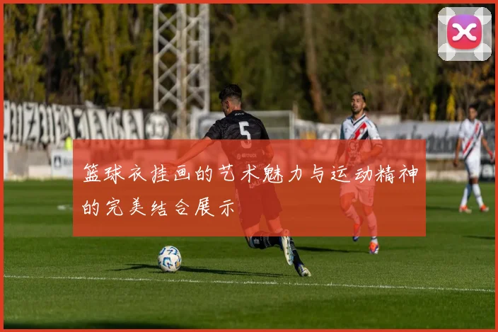 篮球衣挂画的艺术魅力与运动精神的完美结合展示