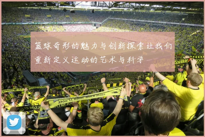 篮球奇形的魅力与创新探索让我们重新定义运动的艺术与科学