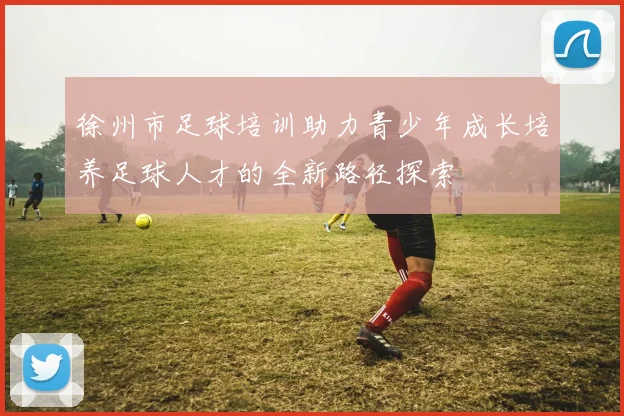 徐州市足球培训助力青少年成长培养足球人才的全新路径探索