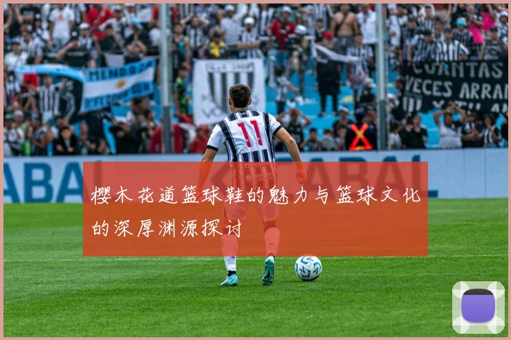 樱木花道篮球鞋的魅力与篮球文化的深厚渊源探讨